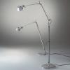 Artemide Tolomeo Terra F1   Floor Lamp Michele De Lucchi Design