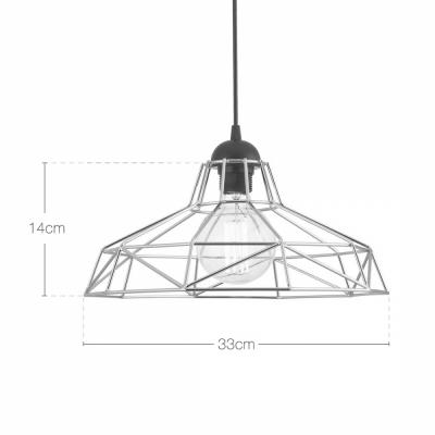 Edison Industrial Harlow Cage Light - Chrome-8618S