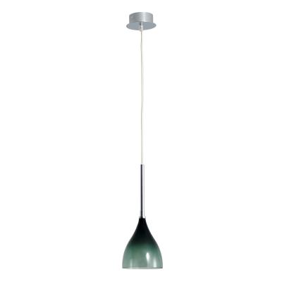 BVH Original design Hold Pendant Lamp