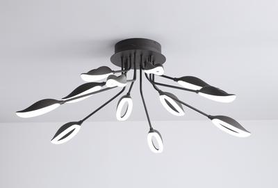 BVH Ceiling light 8540C-12D