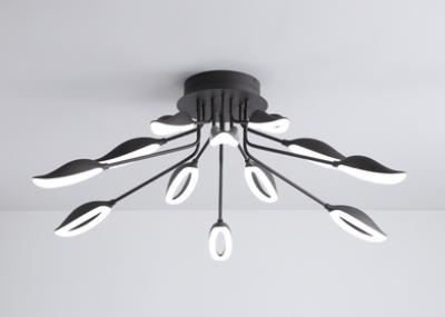 BVH Ceiling light 8540C-12D