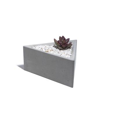 Cement flowerpot triangle succ...